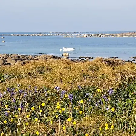 Les Pieds Dans L'eau - Vicq-mer * Cosqueville