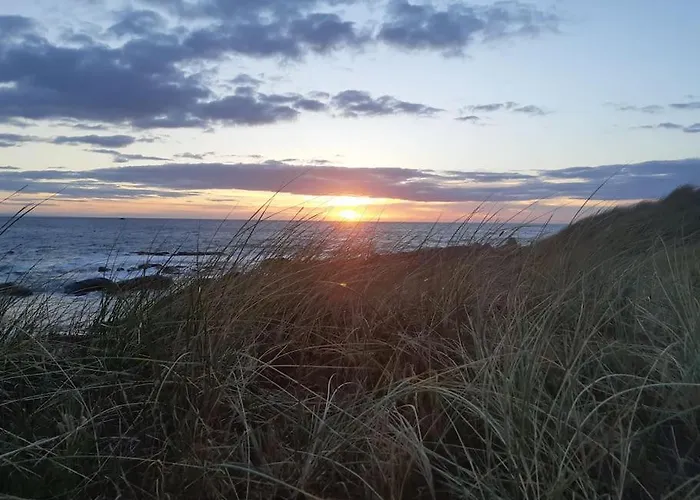 Les Pieds Dans L'eau - Vicq-mer *