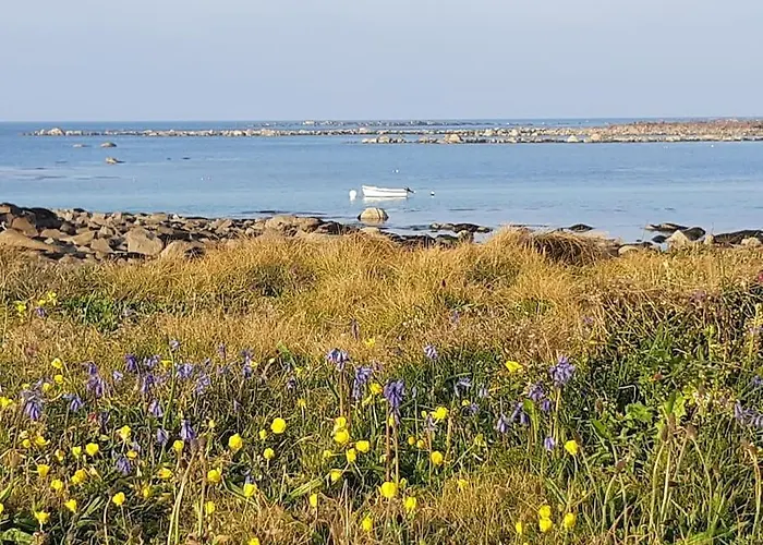 Les Pieds Dans L'eau - Vicq-mer * Cosqueville