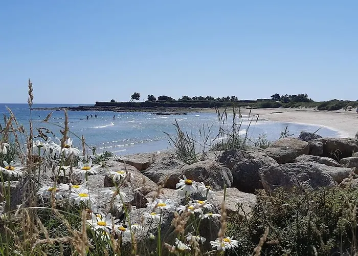 Les Pieds Dans L'eau - Vicq-mer Dom wakacyjny