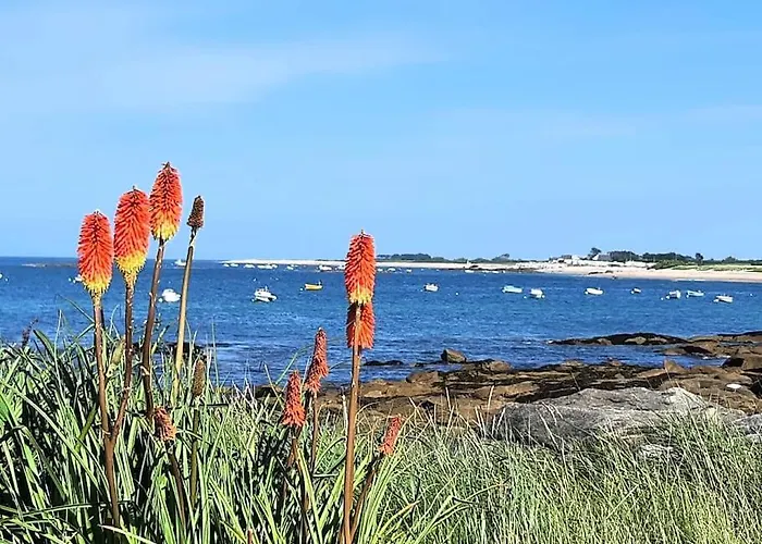 Dom wakacyjny Les Pieds Dans L'eau - Vicq-mer *