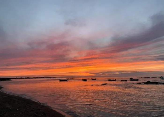 Les Pieds Dans L'eau - Vicq-mer Dom wakacyjny *