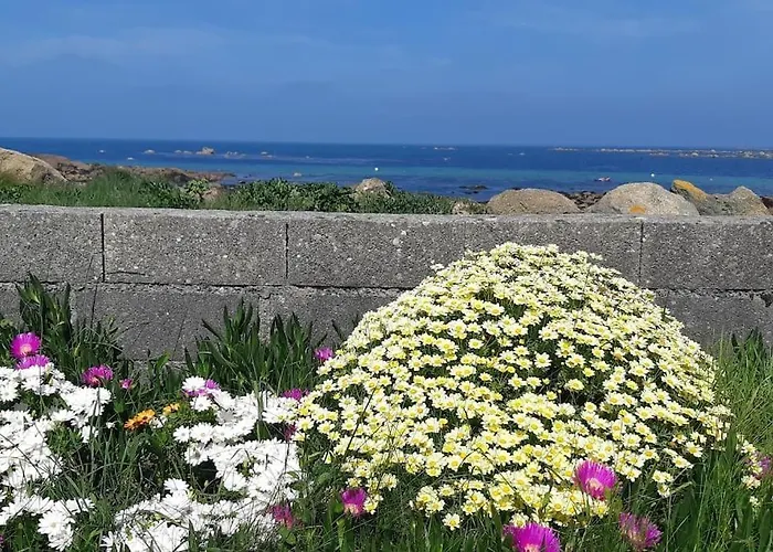 Les Pieds Dans L'eau - Vicq-mer *