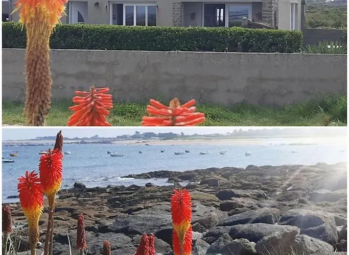 Dom wakacyjny Les Pieds Dans L'eau - Vicq-mer